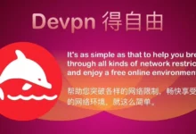 DeVPN 官网地址-梯子推荐