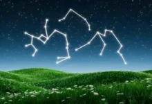 白羊星机场官网地址-梯子推荐