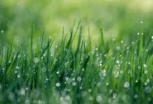 草榴社区邀请码:t66y最新可用邀请码-梯子推荐