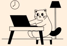 二猫云机场官网-梯子推荐