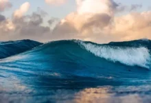 Wave Net 浪网机场官网地址分享-梯子推荐